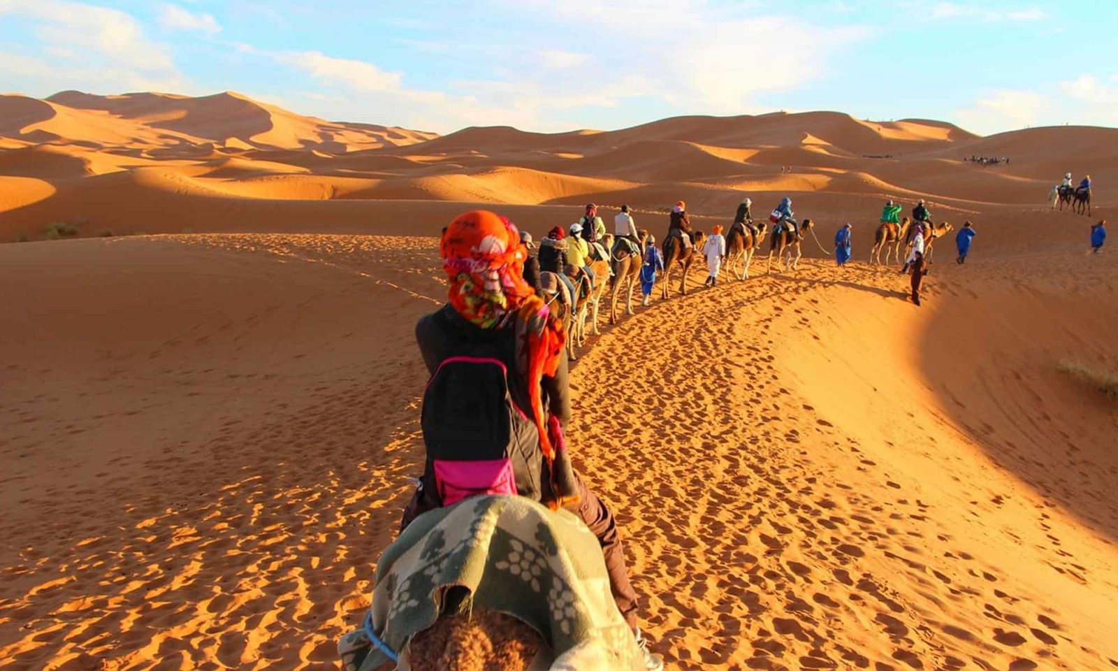 Caravana de Camelos Marrocos