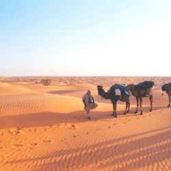 Marrocos: Caravana de Camelos no Deserto Saara