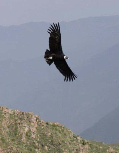De Macchu Pichu ao Lago Titicaca, Peru