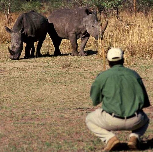 África do Sul, Zimbabwe, Botswana, Do Parque Kruger às Cataratas Victoria