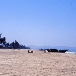 India: Na Rota das Especiarias, De Cochim a Goa