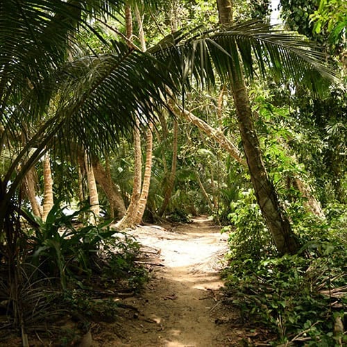 Costa Rica: Vulcões e Selva Tropical, do Pacífico ao Mar das Caraíbas