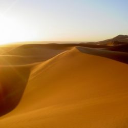 Marrocos: Caravana de Camelos no Deserto Saara