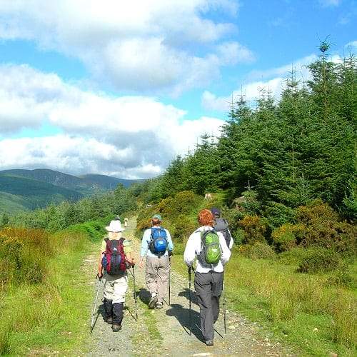 Irlanda, No Parque das Montanhas Wicklow