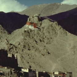 India: Mosteiros dos Himalaias, Festivais do Ladakh