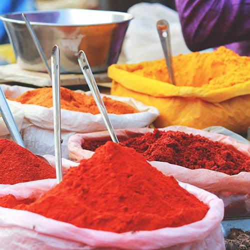India: Na Rota das Especiarias