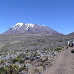 Tanzânia: Subida do Kilimanjaro, a Conquista do Teto de África!