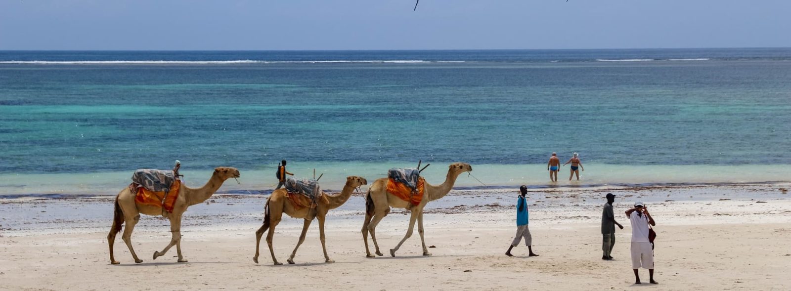 Tanzânia, Safaris nos Parques e Zanzibar