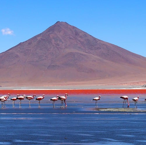 Laguna Colorada, Bolivia