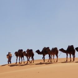 Marrocos: De Fez às Grandes Dunas de Merzouga