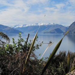 Nova Zelândia: Grande Travessia Norte Sul (estadia em hotel)
