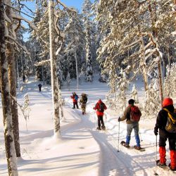 Finlândia: Travessia em Raquetes de Neve e Auroras Boreais na Lapónia