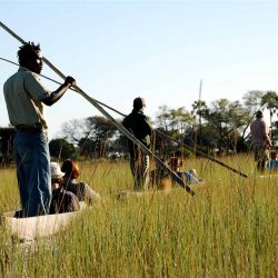 Zimbabué, Botsuana: Das Cataratas Vitória ao Delta do Okavango (versão a acampar)
