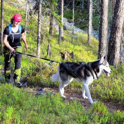 Finlândia: Multiaventura na Lapónia, Três Parques Nacionais