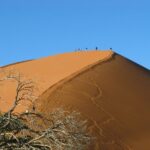 Dicas de viagem Rotas do Vento