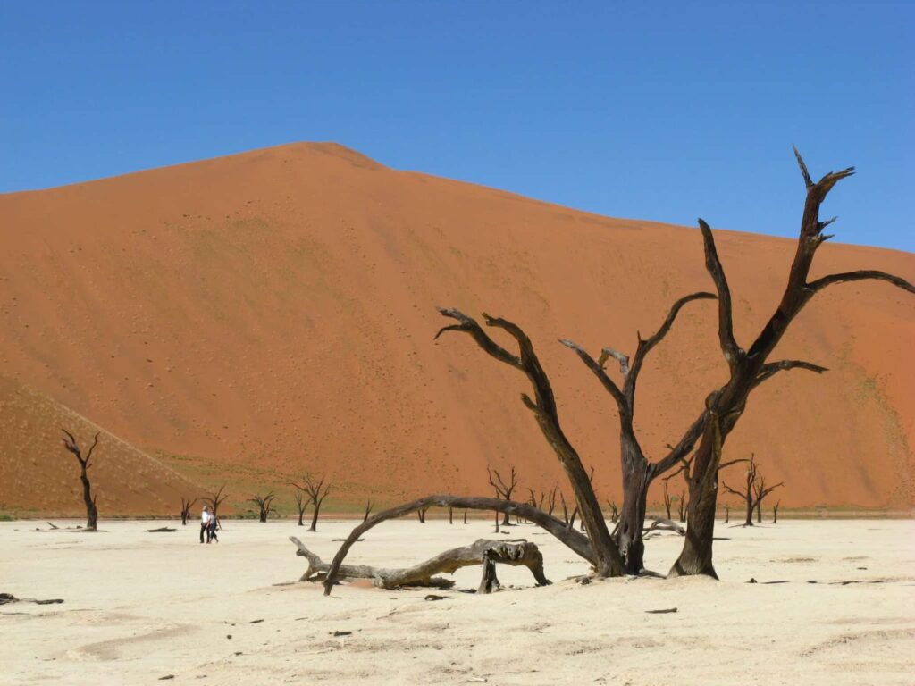 África do Sul, Namíbia, Botsuana, Zimbabué: Grande Travessia do Kalahari (versão a acampar) – Fernanda Bernardo