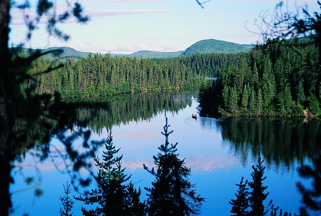 Aventura na Floresta Boreal, Canadá – Anabela G