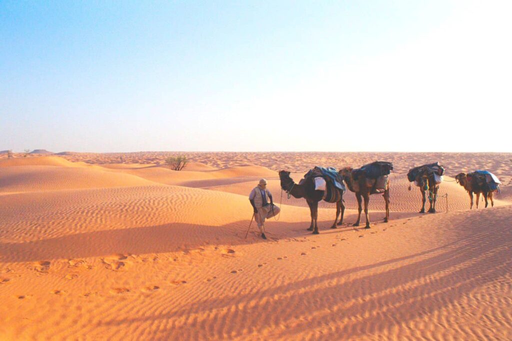 Marrocos: Caravana de Camelos no Saara – Ana L