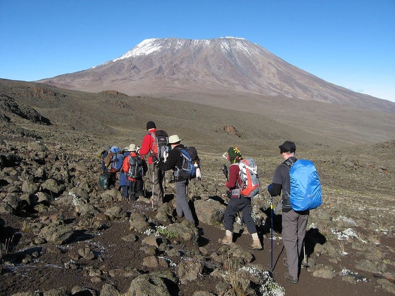 Tanzânia: Safaris em Manyara, Serengeti e N’Gorongoro com Kilimanjaro – António P