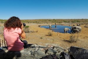 Dicas de viagem Rotas do Vento