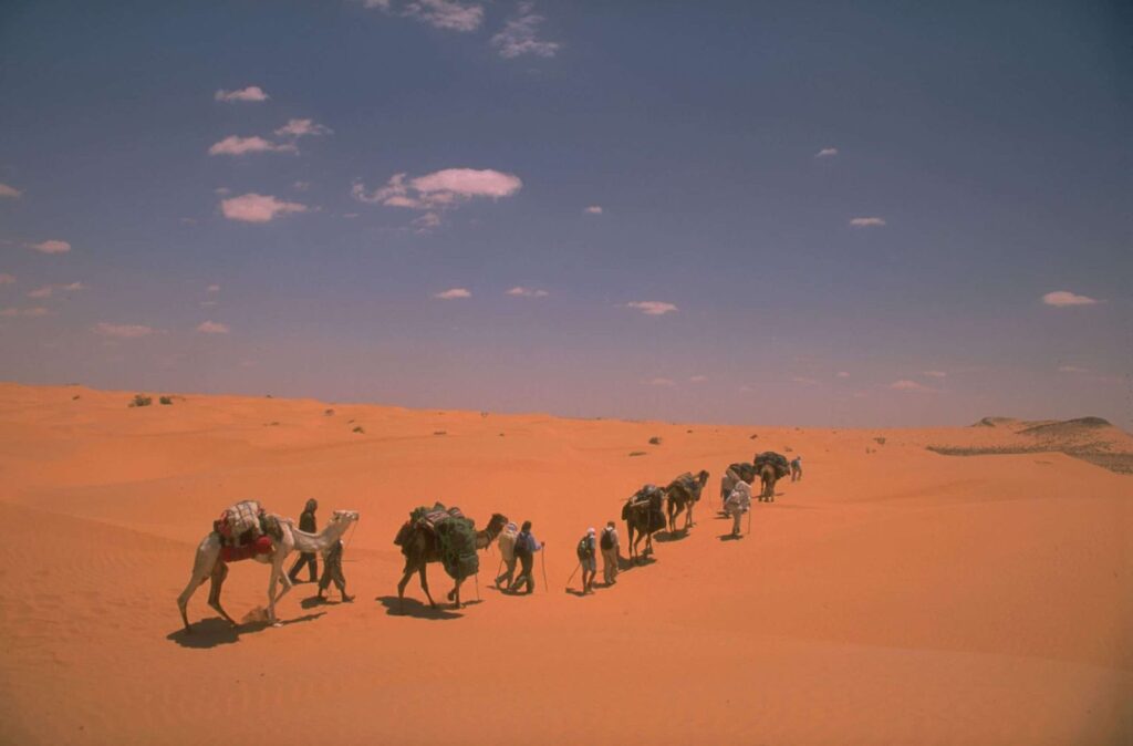 Dunas e Oásis do Grande Sul, Tunísia – Nuno A
