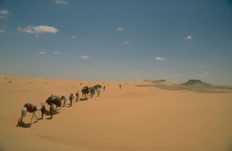 Dunas e Oásis do Grande Sul, Tunísia – Nuno A