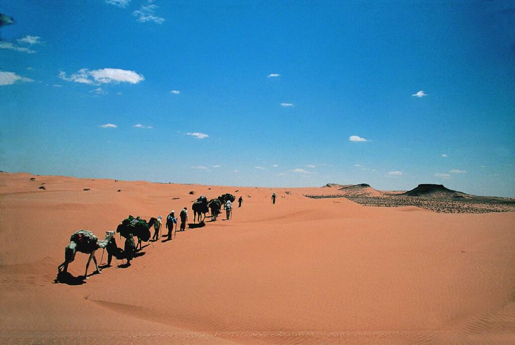 Tunísia: Dunas e Oásis do Grande Sul – Sofia C