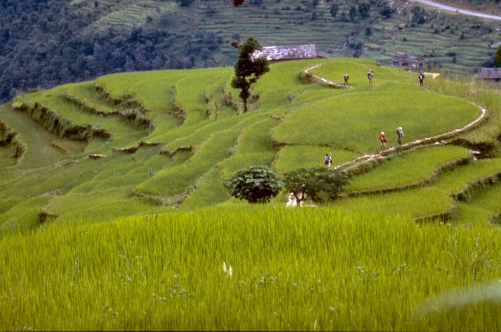 Nepal: Panoramas dos Himalaias – Luis Miguel V