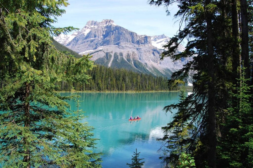 Canadá: Aventura na Floresta Boreal – Teresa N