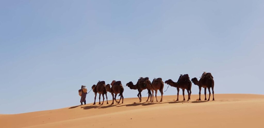 Marrocos: Caravana de Camelos no Saara – Alexandra H