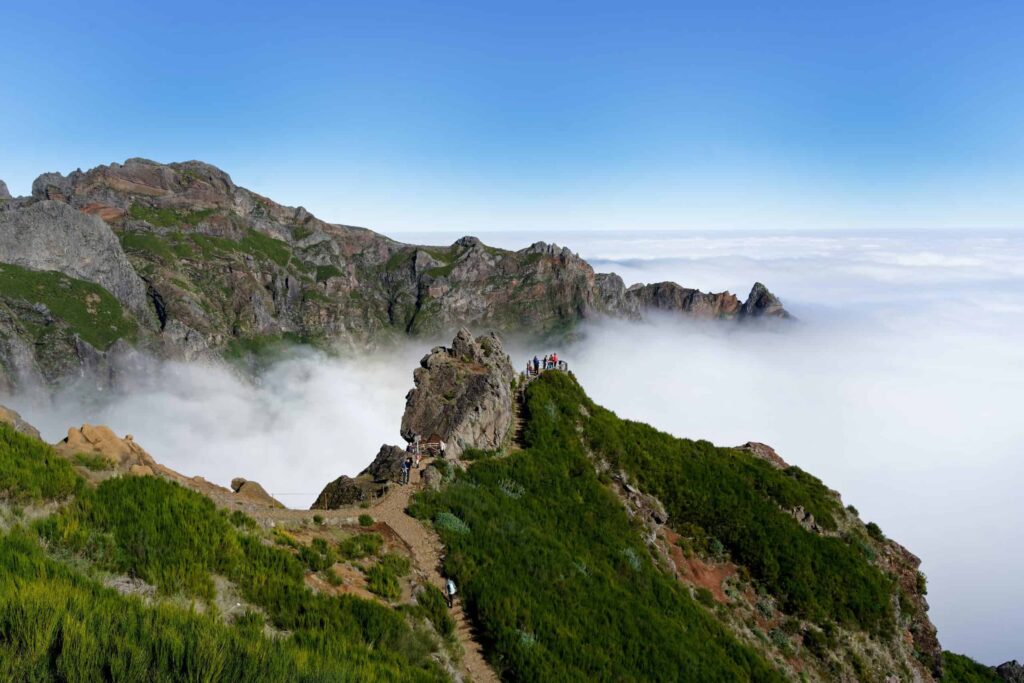 Veredas e Levadas da Madeira – Helena T