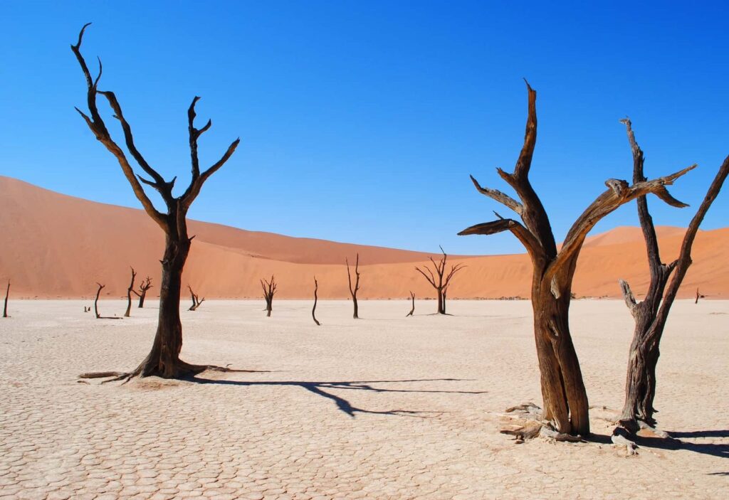 Namíbia, Botsuana, Zimbabué: Do Deserto Namibe às Cataratas Vitória (versão a acampar) – Elisabete F