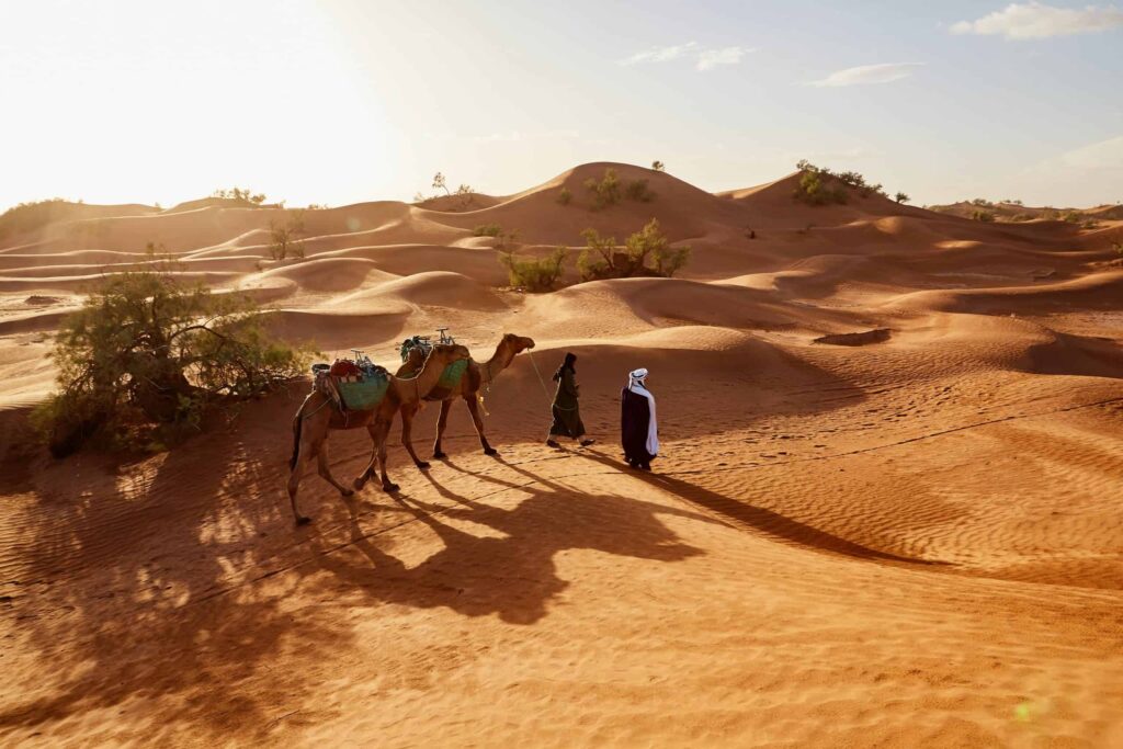 Marrocos: Caravana de Camelos no Saara – Carlos P
