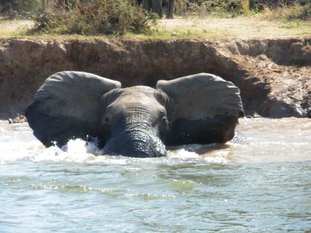 África do Sul, Botsuana, Zâmbia, Malaui, Zimbabué, Moçambique: Odisseia no Trópico de Capricórnio, Cristina Chabert