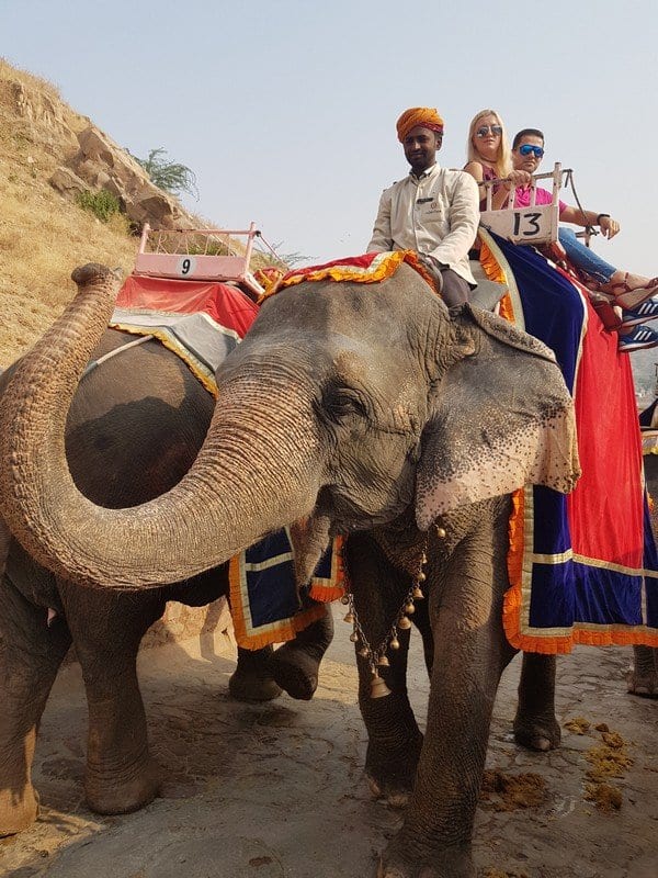 India: Fortalezas e Palácios do Rajasthan, Hugo Pestana, 2017