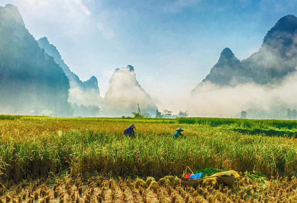 Vietname: Da Baía Halong ao Rio do Perfume – Margarida Rodrigues