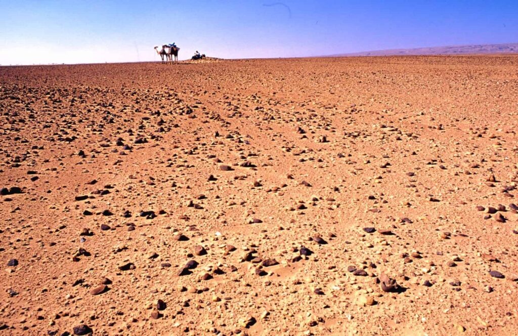 Marrocos: Caravana de Camelos no Saara – Marta L