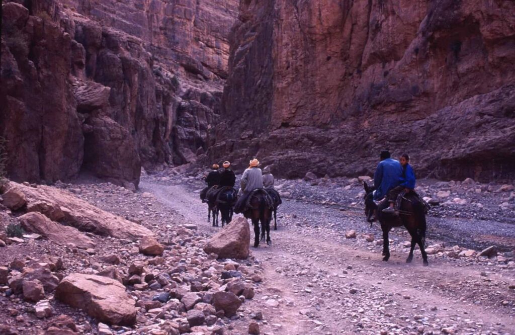 Marrocos: Grande Raide no Sul – Teresa B
