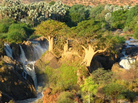 Namíbia: Grande Travessia do Kalahari, Gonçalo Velez, 2008