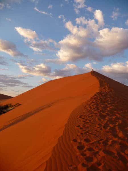 África do Sul, Namíbia, Zâmbia, Botswana: Grande Travessia do Kalahari, Fernanda Cardozo, 2009
