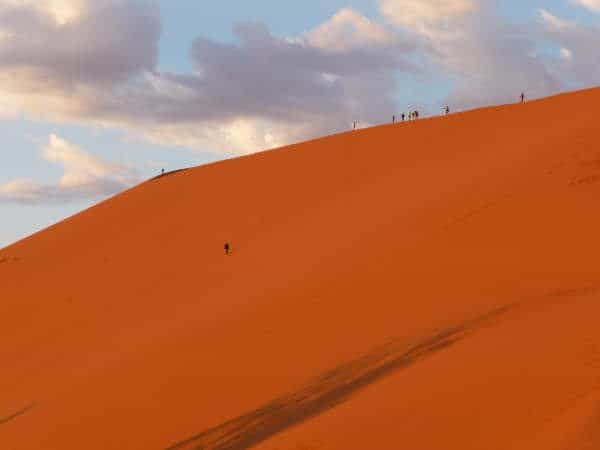 África do Sul, Namíbia, Zâmbia, Botswana: Grande Travessia do Kalahari, Fernanda Cardozo, 2009