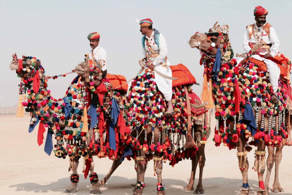 India: Fortalezas e Palácios do Rajastão – Rita R