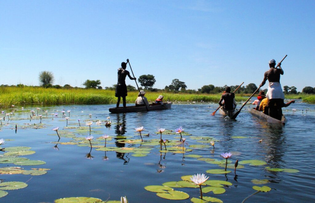 Safari de mokoro no Delta de Okavango