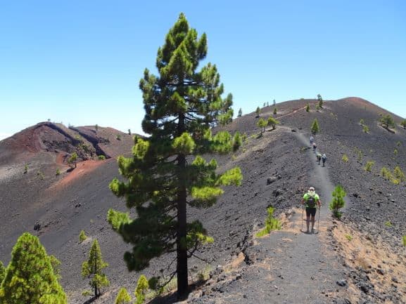 Parques e Reservas da Gran Canaria, Espanha – Luisa Soares